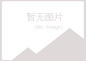 碾子山区清新美容有限公司